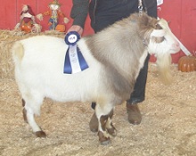 Bakken's Farm Raising Kane